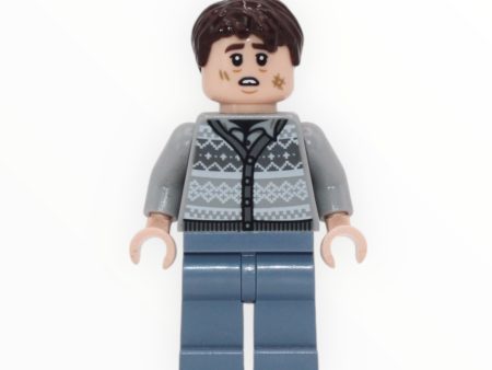 Neville Longbottom (scuffs on face, Fair Isle Sweater, sand blue legs, 2023) For Discount