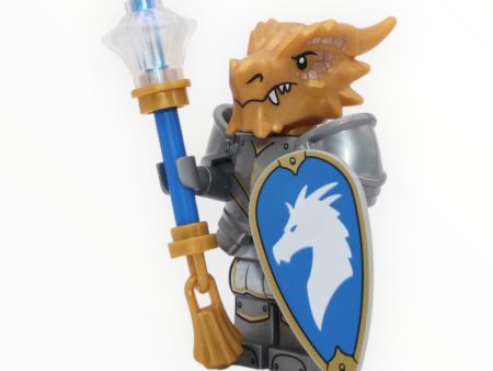 Dungeons & Dragons Series: Dragonborn Paladin For Discount