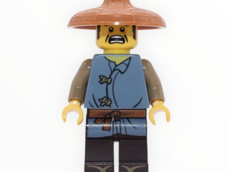 Ray (The LEGO Ninjago Movie) Online now